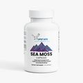 Sea Moss